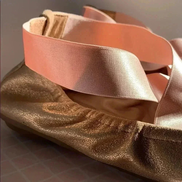 Taryn Rose Powder Metallic Ballet Flat - Picture 5 of 8